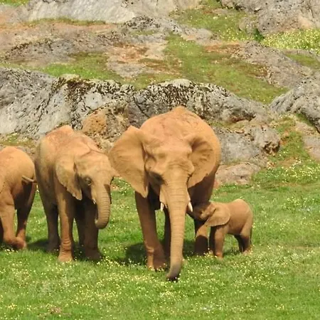 Apartment Rosales Ampuero