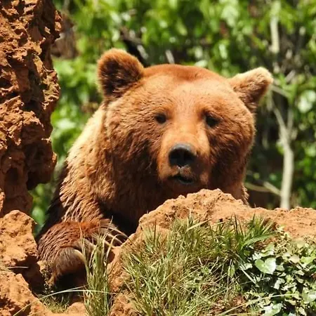 Rosales דירה אמפוארו