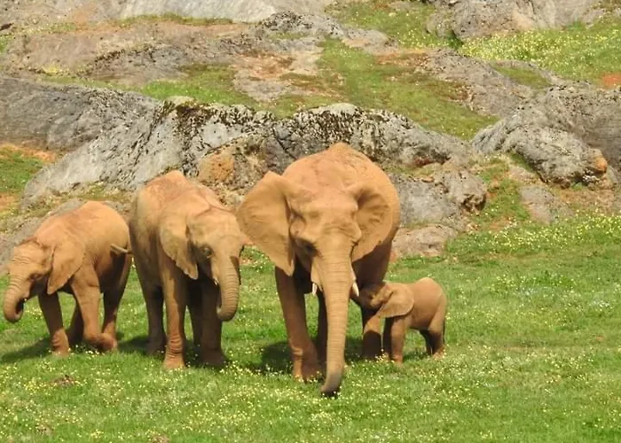 아파트 Rosales 암푸에로